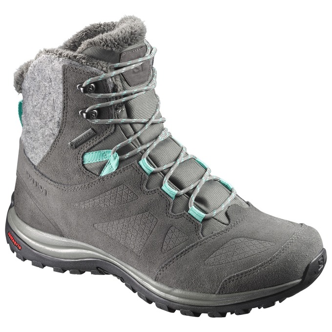 Botas De Invierno Salomon Hombre Gris Oscuro - Salomon Argentina ELLIPSE GTX® ,056143-IXZ